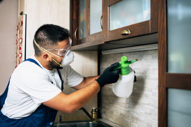 Best Emergency Pest Control  in Richmond, IN