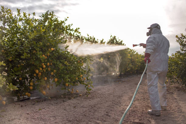 Best Bed Bug Extermination  in Richmond, IN