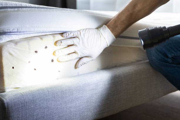 Best Flea Control Services  in Richmond, IN