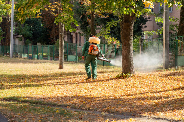 Trusted Richmond, IN Pest Control Experts