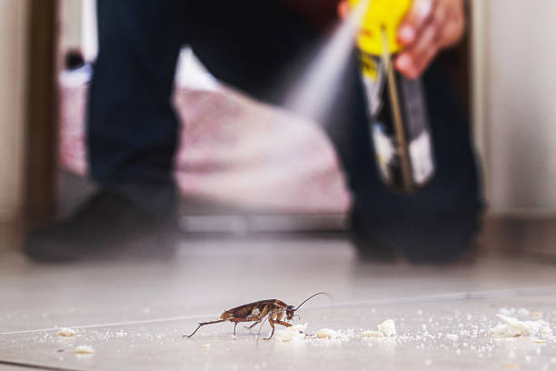 Best Best Pest Control Companies  in Richmond, IN