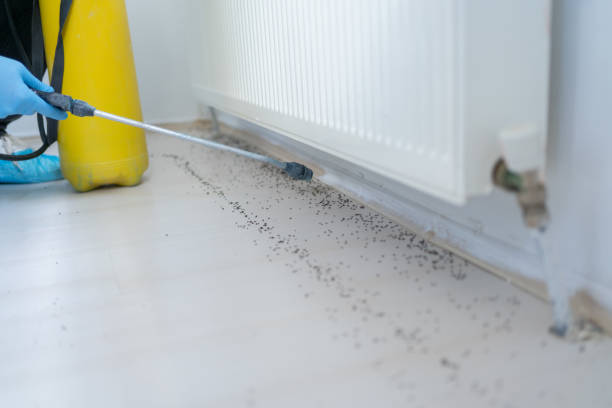 Best Spider Control Near Me  in Richmond, IN