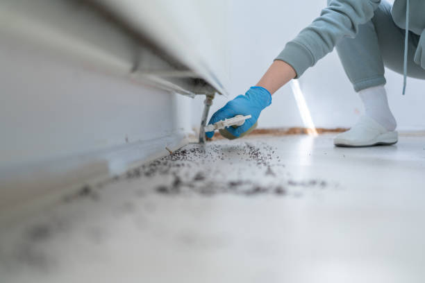 Best Exterminator Services  in Richmond, IN