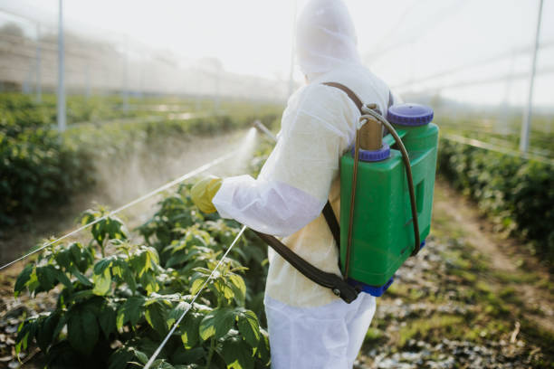 Best Local Pest Control Services  in Richmond, IN